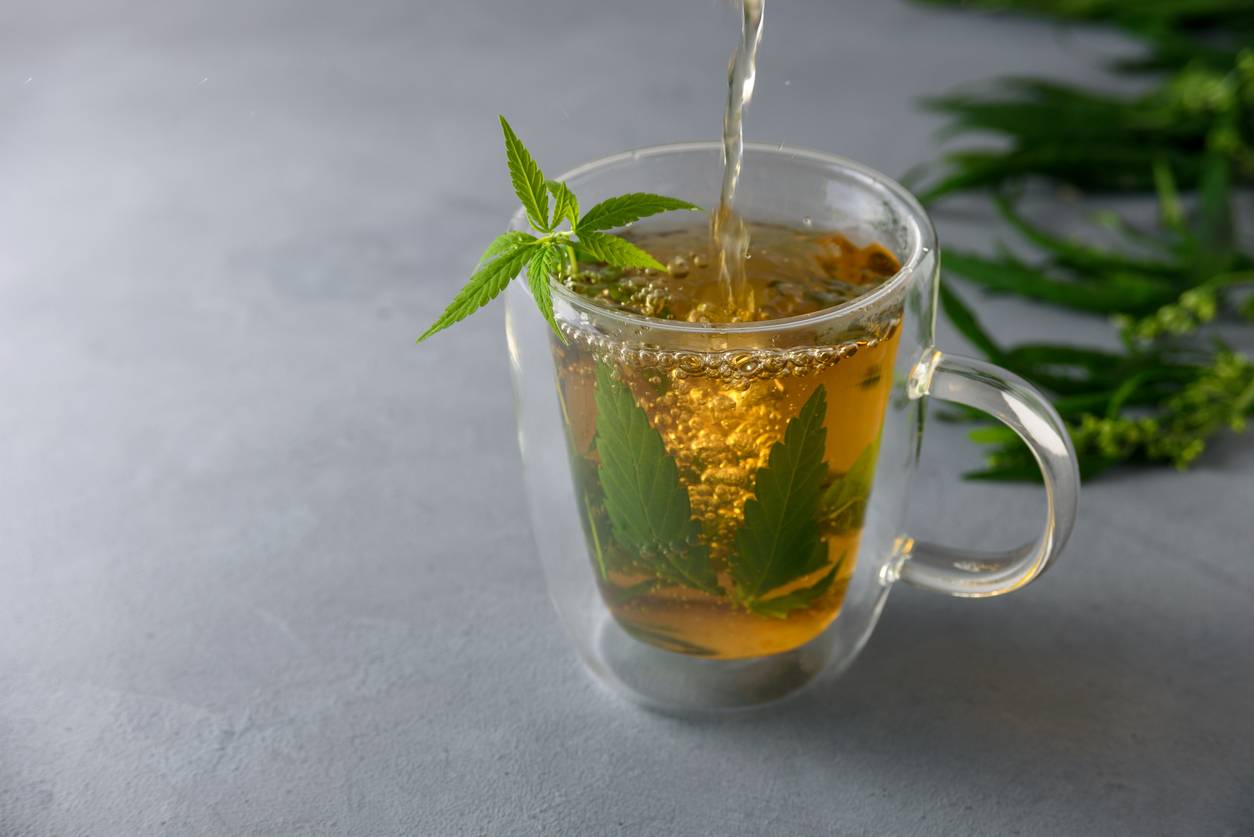 tisane et infusion au CBD